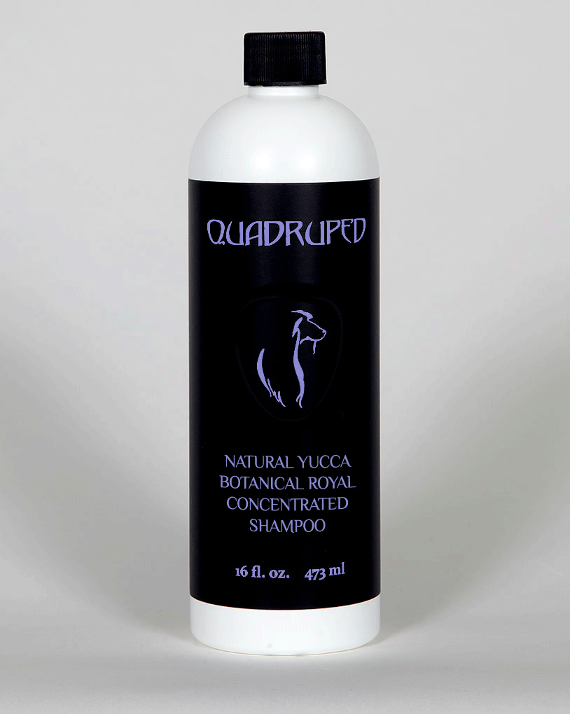 Quadruped Pet Care: Botanical Royal Yucca Concentrated Shampoo